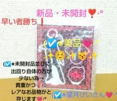 あほの坂田 となりの坂田 さかわん2026 仙台公演 入場特典 ハイタッチ
