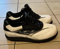 Item thumbnail for item 34036e9d-6a15-47e6-932d-30aade1c2fbe