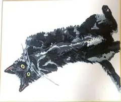 027｜黒猫 原画 A4 手描きイラスト - メルカリ