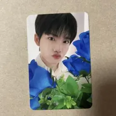 treasure night garden トレカ　ジュンギュ