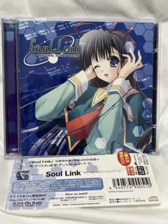 2枚組/Soul Link/オリジナルサウンドトラック/ORIGINAL