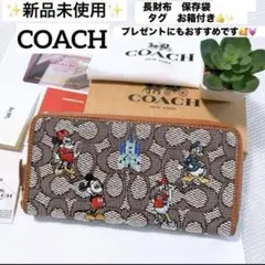 ✨新品未使用✨COACH ディズニー　ミッキーマウス　シンデレラ城　限定