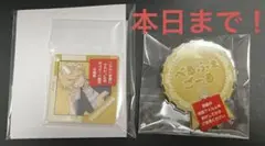 ベルフェゴール ひこくじ D賞E賞セット