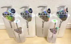 Straine ストレインセット