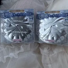 CANMAKE クリアヴェールセッティングパウダー 01 2個セット