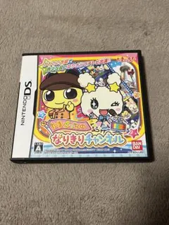 NintendoDS たまごっちのなりきりチャンネル ケースのみ