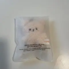 straykids スキズ スンミン パピーム ペンミ マイクロ