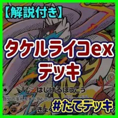 タケルライコexデッキ タケルライコデッキ 構築済みデッキ【回し方ガイド付‼️】