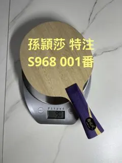 Item thumbnail for item 8193d0cb-4e3f-4522-85dc-74fc7c8f4f85