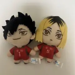 【匿名配送】ハイキュー‼︎ 黒尾&孤爪 セット♡