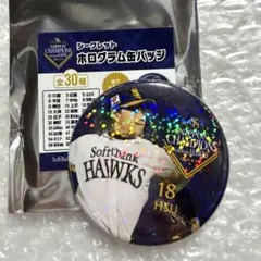 福岡ソフトバンクホークス ルオシー 캔 배지