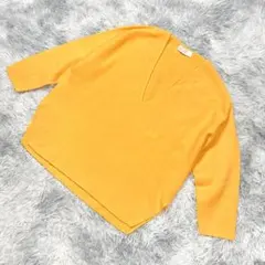 NOLLYS ノーリーズ Vネックカットソー イエロー サイズ38のサムネイル