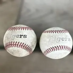 Item thumbnail for item f6f68905-0064-40bc-b175-7076381feab5