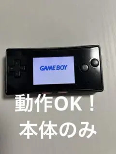 Nintendo GAME BOY micro 本体　動作OK