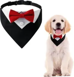 Item thumbnail for item 81671ab1-834b-461c-aea7-bfdc6d75922c