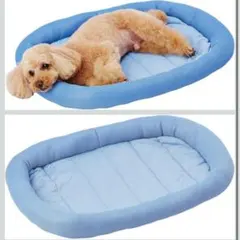 Item thumbnail for item 3b7403ca-274a-4aa0-a685-8dd1da6bb880