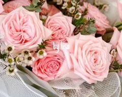 Chie様38専用