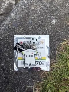 鹿島アントラーズグッズ