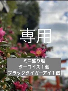 Item thumbnail for item 469f98a5-ab9c-4ec7-a2f4-816684aa59ee