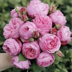 ちゃん様 リクエスト 2点 まとめ商品