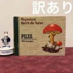 2026年最新】洋書 きのこの人気アイテム - メルカリ