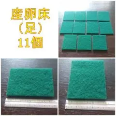 メダカ　産卵床(足)　585 ※研磨剤不使用のサムネイル