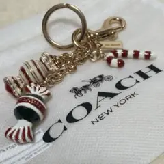 極美品　コーチ　COACH　チャーム　キーリング/ホルダー　キャンディデザイン