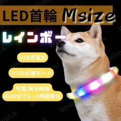 犬 ドッグ 光る 首輪 LED Mサイズ レインボー USB充電 夜間 散歩用