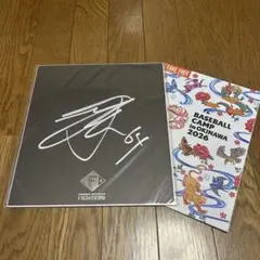 田宮裕涼　北海道日本ハムファイターズ　春季キャンプ　直筆　サイン　色紙　球団ロゴ