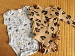 Item thumbnail for item e1890a9c-8e12-49f4-a7f9-f05e03f354b3