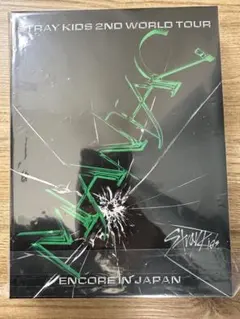 STRAY KIDS 'MANIAC' ENCORE IN JAPAN