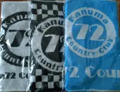 Item thumbnail for item 69656882-43cc-4585-a0fd-0283314601be