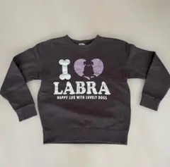 Labrador Retriever ブラウントレーナー Mのサムネイル