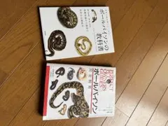 2025年最新】ボールパイソン 本の人気アイテム - メルカリ