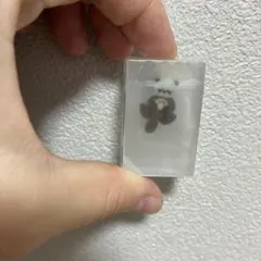 氷漬けになった生き物消しゴム　ラッコのサムネイル