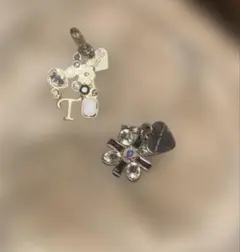 Samantha Thavasaバックチャーム