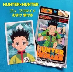 初期 HUNTER×HUNTER旧アニメ【ゴン】No001ブロマイドポストカード