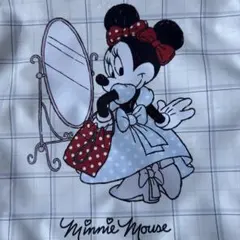 美品‼️お値下げ‼️ ミニーマウス レスポートサックバッグ