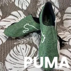 PUMA(プーマ)V5.06 I FG グラスカモ　未使用品