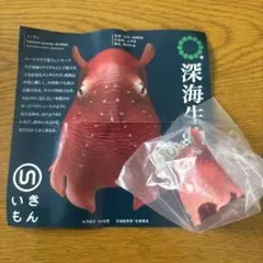 メンダコフィギュア P1070230_1024x1024.jpg?v=