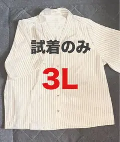 ハニーズ　ブラウス　試着のみ　3L