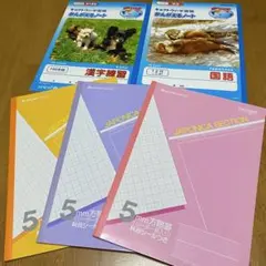 Item thumbnail for item 518a7ef9-cae3-4669-b0be-a93665715f9b