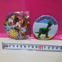 香港　ディズニーランド　缶バッチ　2個セット　ミッキー　トイ・ストーリー　誕生日