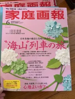 家庭画報 2025年6月号 海山列車の旅