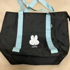 Item thumbnail for item e9570ed1-327d-456c-8086-d928c5df7faa