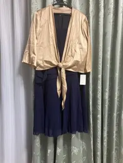 大きいサイズ パーティードレス