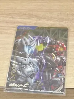 たかぼー様専用即日発送！仮面ライダー　亡　パラレル