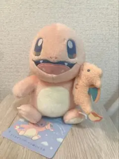 ポケモン Little Daydream ヒトカゲとリザードンぬいぐるみ - メルカリ