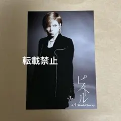 Acid Black Cherry yasu ポストカード 14 - メルカリ