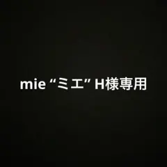 mie “ミエ” H テラスタルバレット　デッキパーツ